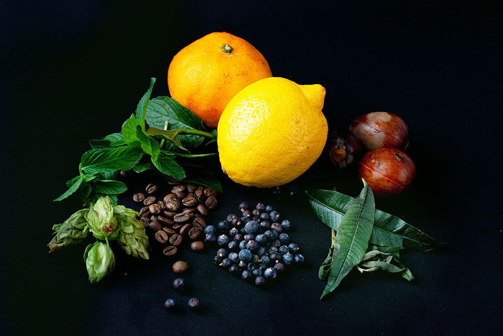 NUMBER EIGHT GIN ナンバーエイトジン フレッシュボタニカル