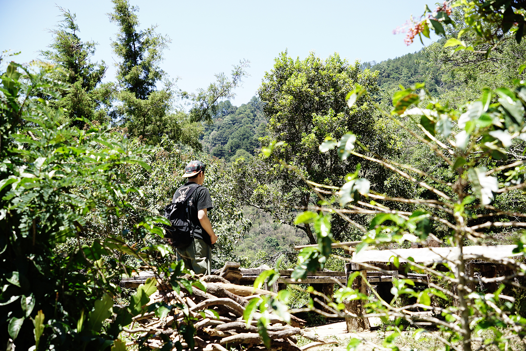 ソー コーヒー ロースターズ